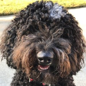 Meet your Posher, Gabby